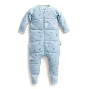 ergoPouch - Organic Winter Long Sleeved Sleep Onesie - 3.5 TOG - Dragonflies